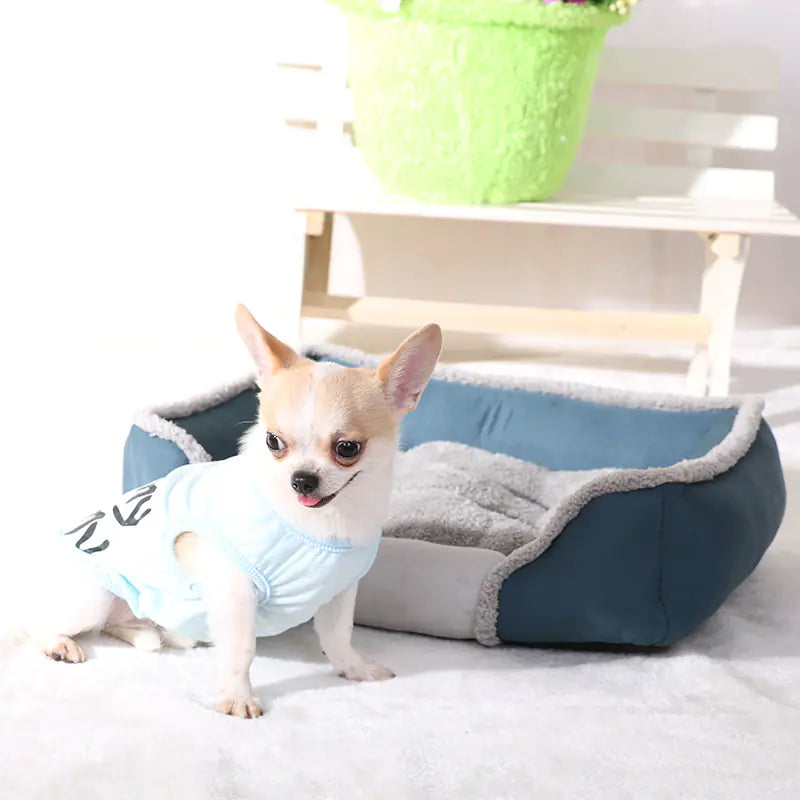 Small dog wearing a light blue outfit sitting on a pet bed with a white background
