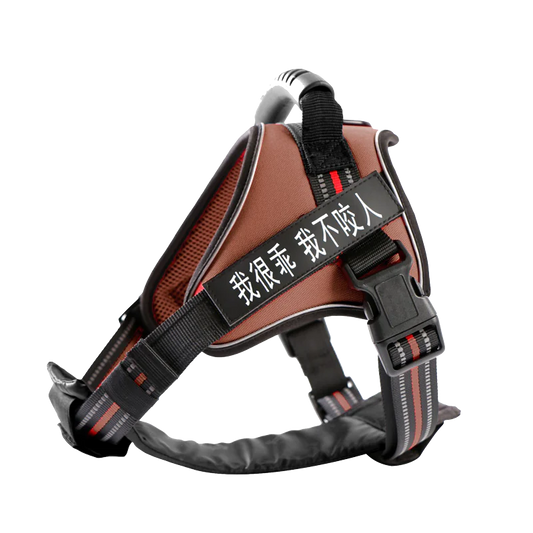 Dog harness with text on a white background