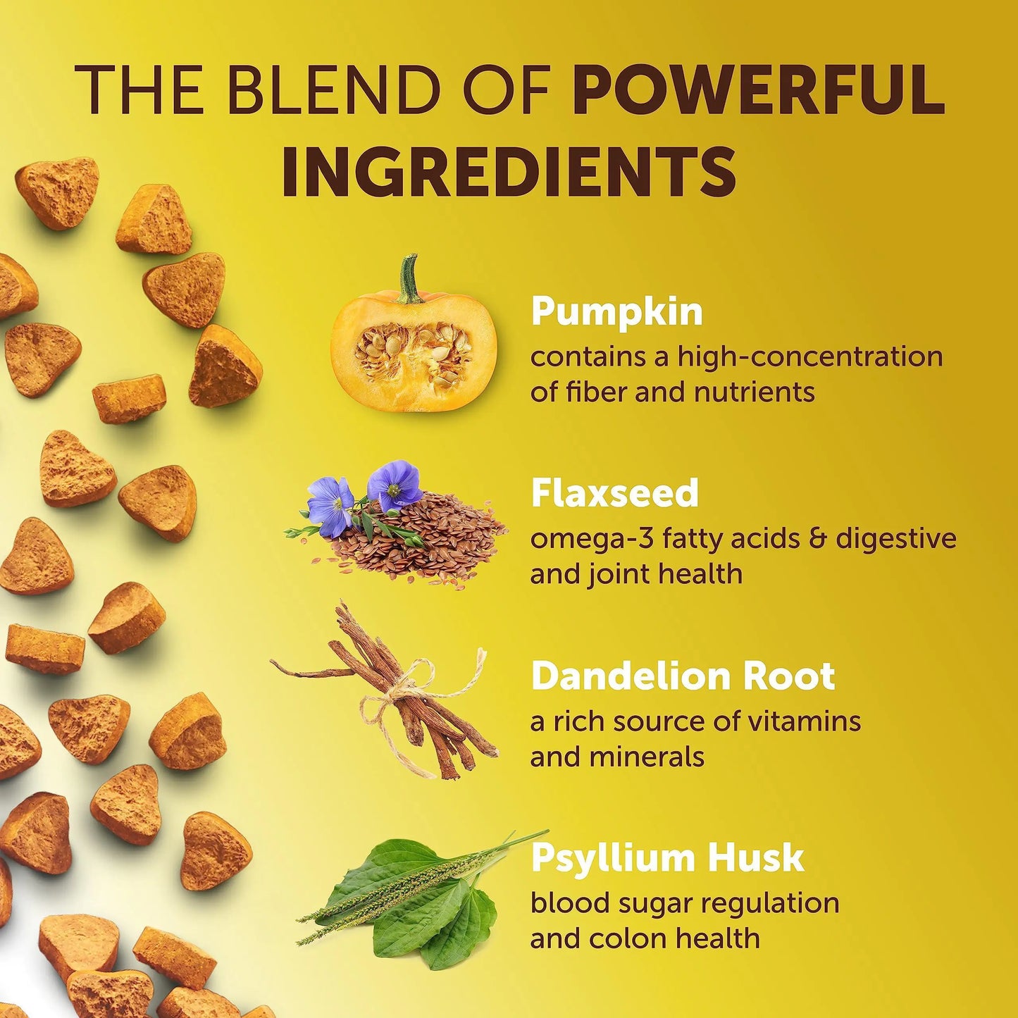 Health benefits of pumpkin, flaxseed, dandelion root, and psyllium husk on a yellow background.