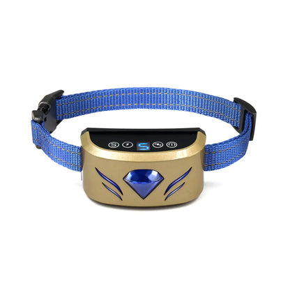 Dog collar with electronic device on a white background