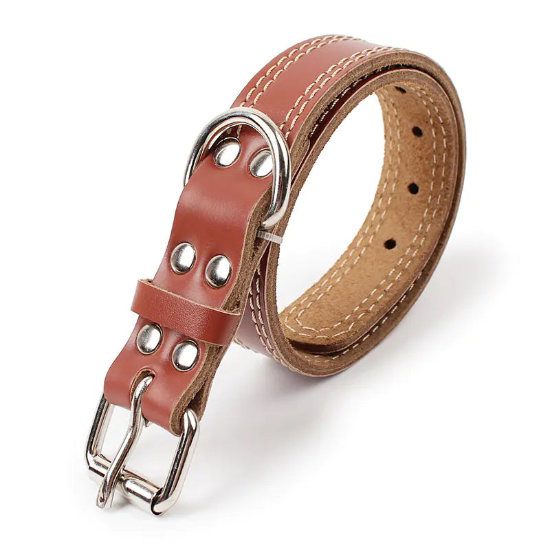 Brown leather dog collar with metal hardware on a white background