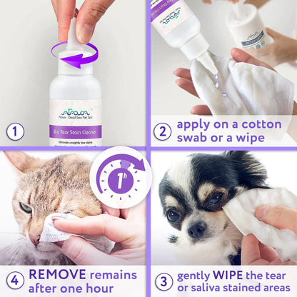 Step-by-step guide on using a pet stain cleaner with images of a cat and dog, and text instructions.