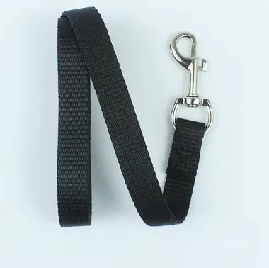 Pet Leash (Single Item)
