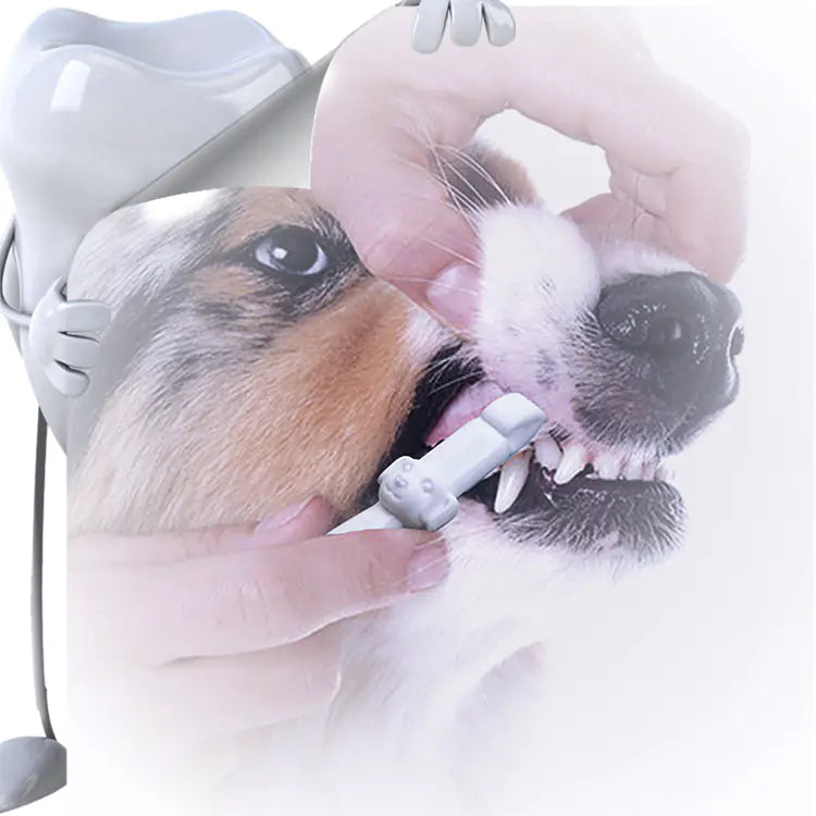 Portable Pet Tooth Cleaning Wipes for Easy Hygiene
