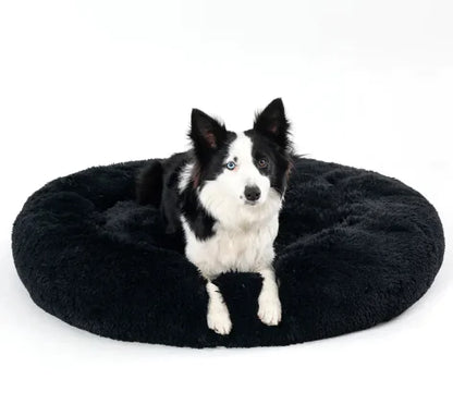 Dog sitting on a black donut bed against a white background