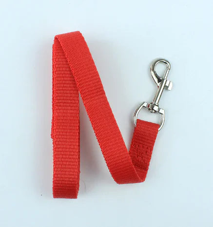 Pet Leash (Single Item)