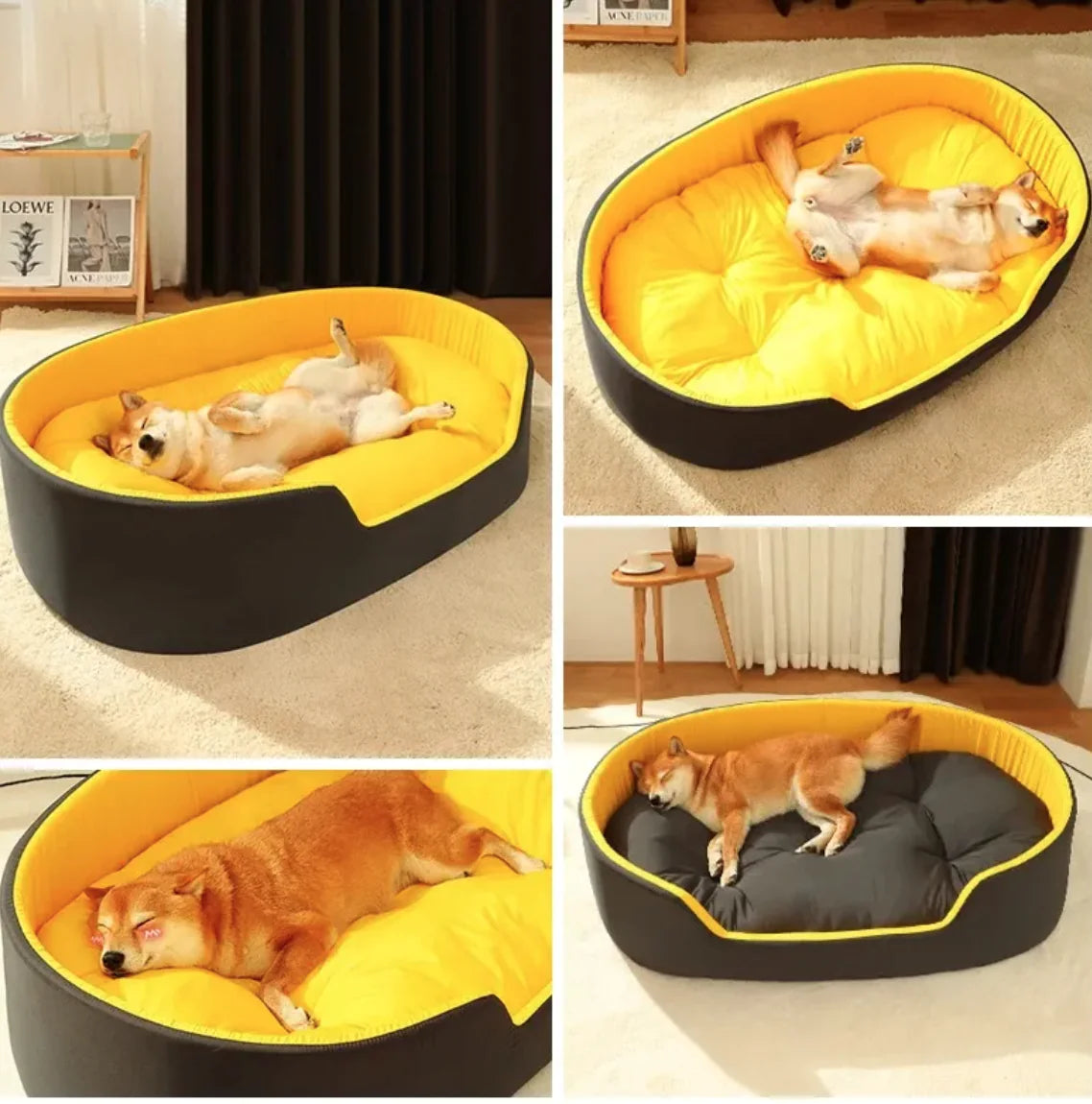 Collage of a dog lying on a yellow and black pet bed in various positions.