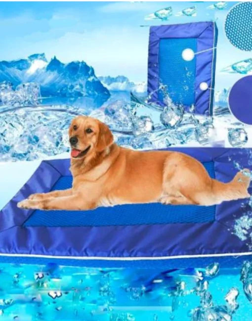 Dog lying on a blue cooling pad with a snowy mountain background