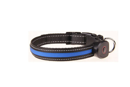 Dog collar with blue stripe and black buckle on a white background