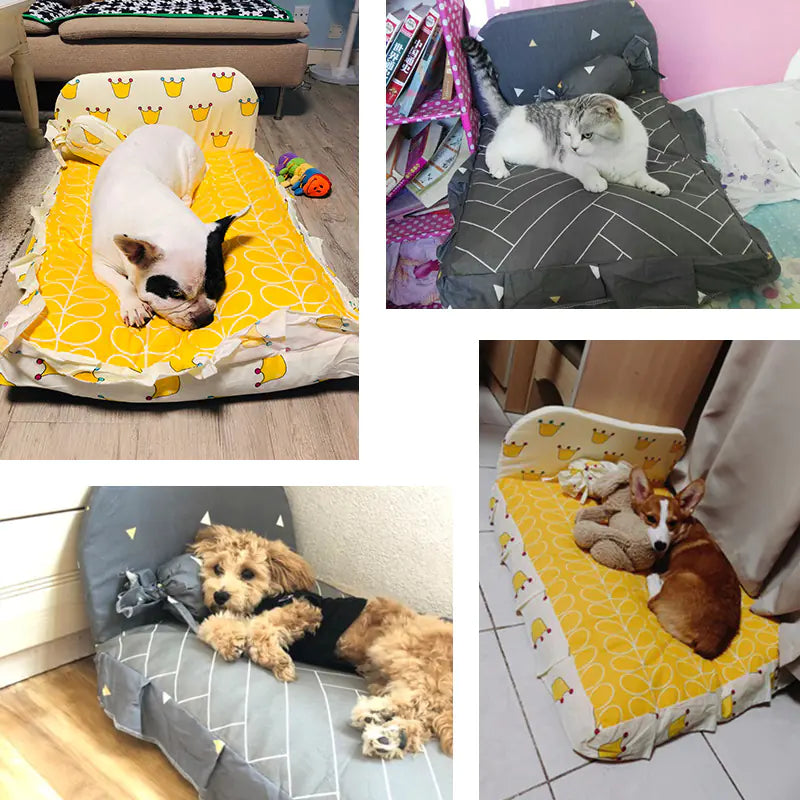 Collage of pets on various pet beds in different settings