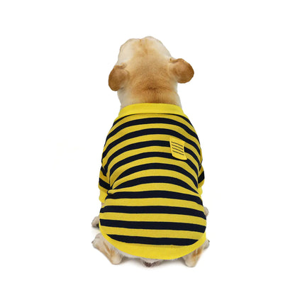Dog wearing a yellow and black striped shirt on a white background
