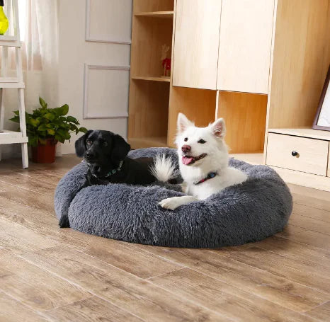 Two dogs on a fluffy gray pet bed in a room with wooden flooring and cabinets.