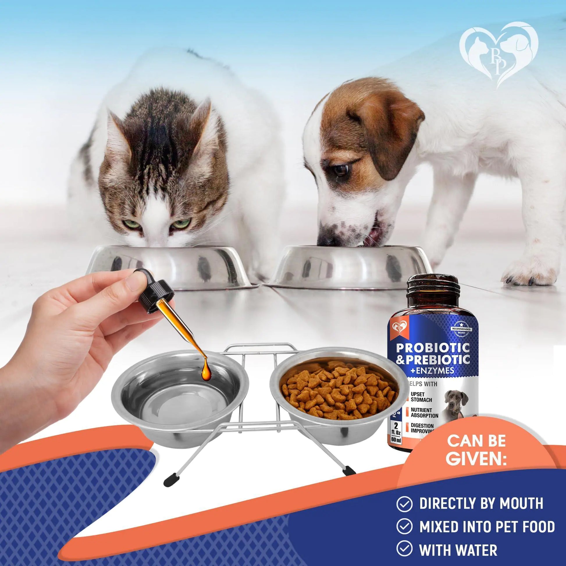 Pet bowls, a bottle of probiotic supplement, and a hand with a dropper over a pet food dish.