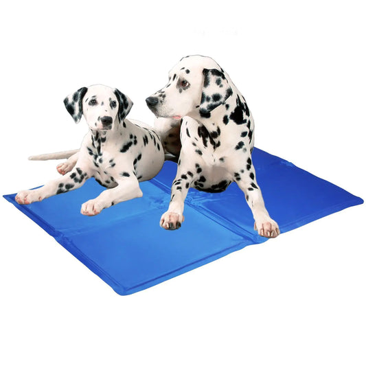 Two Dalmatian dogs on a blue cooling pad against a white background