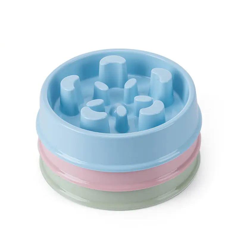 Colorful pet slow feeder bowl on a white background
