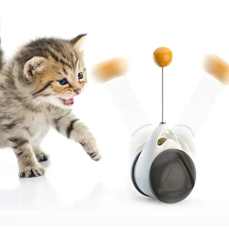 Kitten playing with a toy on a white background