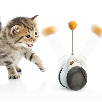Kitten playing with a toy on a white background