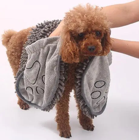 Small dog wearing a gray towel with paw prints on a white background