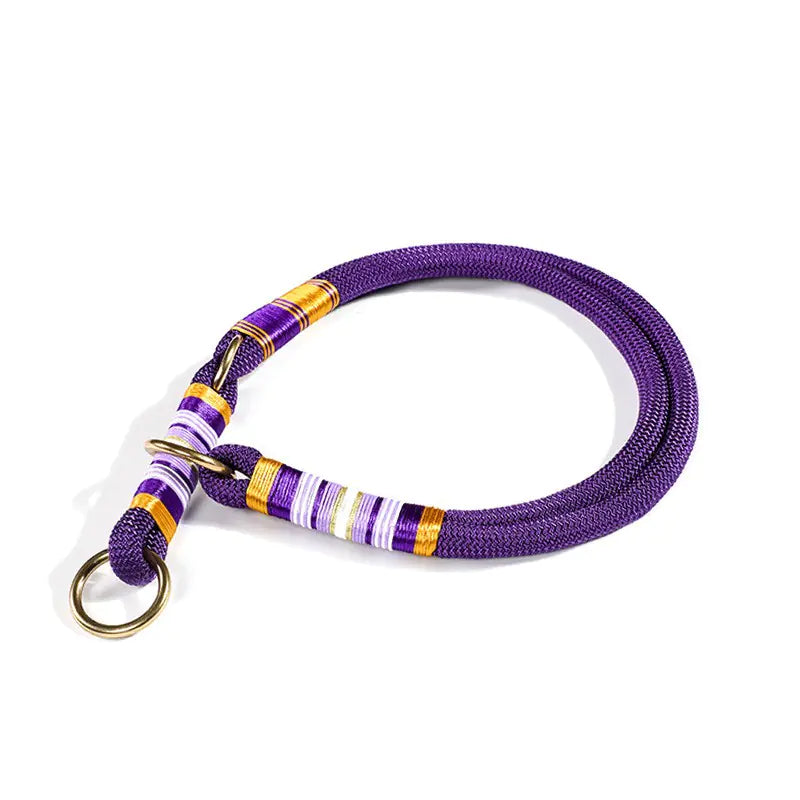 training collar in purple