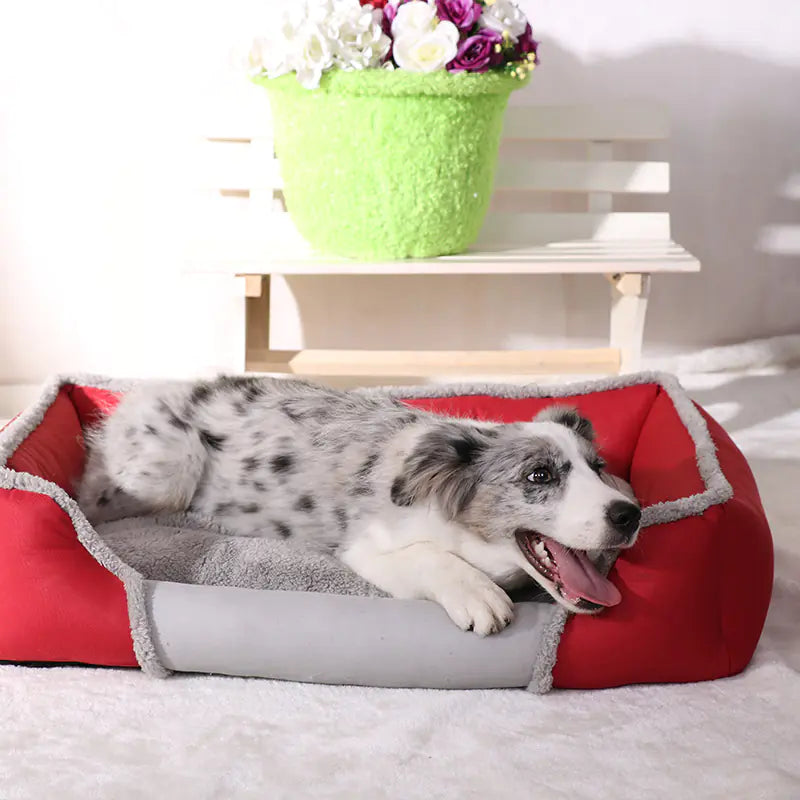 Dog lying on a red and gray pet bed with a blurred background