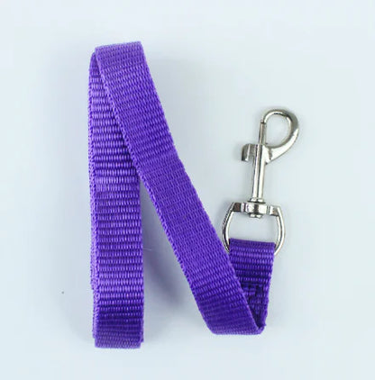 Purple dog leash with a metal clip on a white background