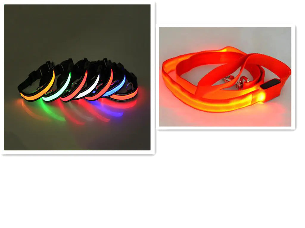 Set of colorful LED dog collars on a dark background with a close-up of a glowing red collar.